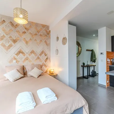 Caucase - Centre-ville Etienne Proximite Parking Apartment *