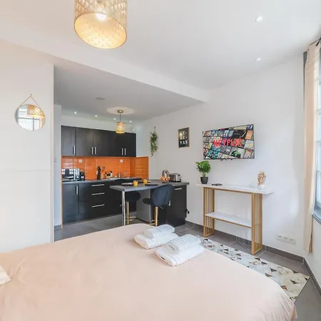 Caucase - Centre-ville Etienne Proximite Parking Apartment